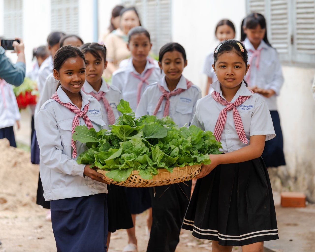 Dith Nita, chair of the Board of Directors of the Cambodia Microfinance Association (CMA), begins harvesting vegetables in Kampot province. Supplied