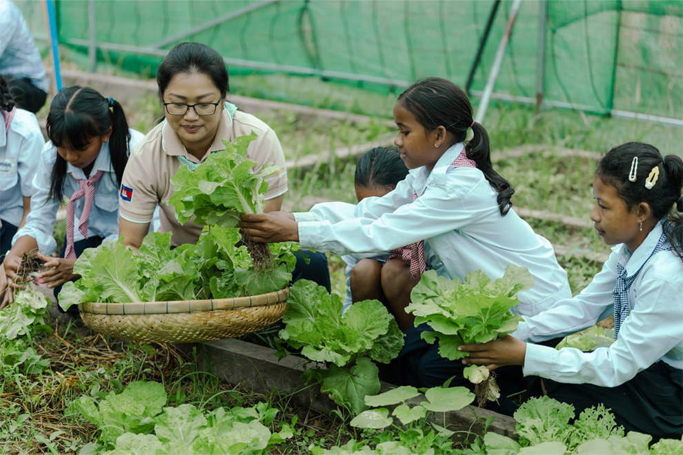 Girl Guides of Cambodia harvest vegetables for frontline soldiers, police, and displaced people. Supplied