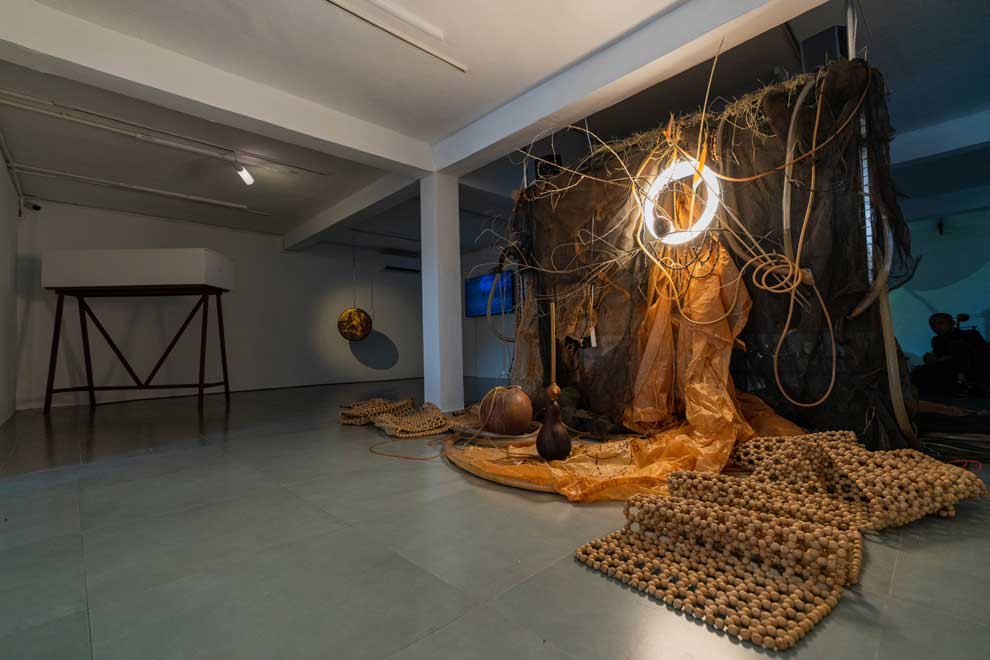 Vietnamese artist unveils dreamlike exhibition