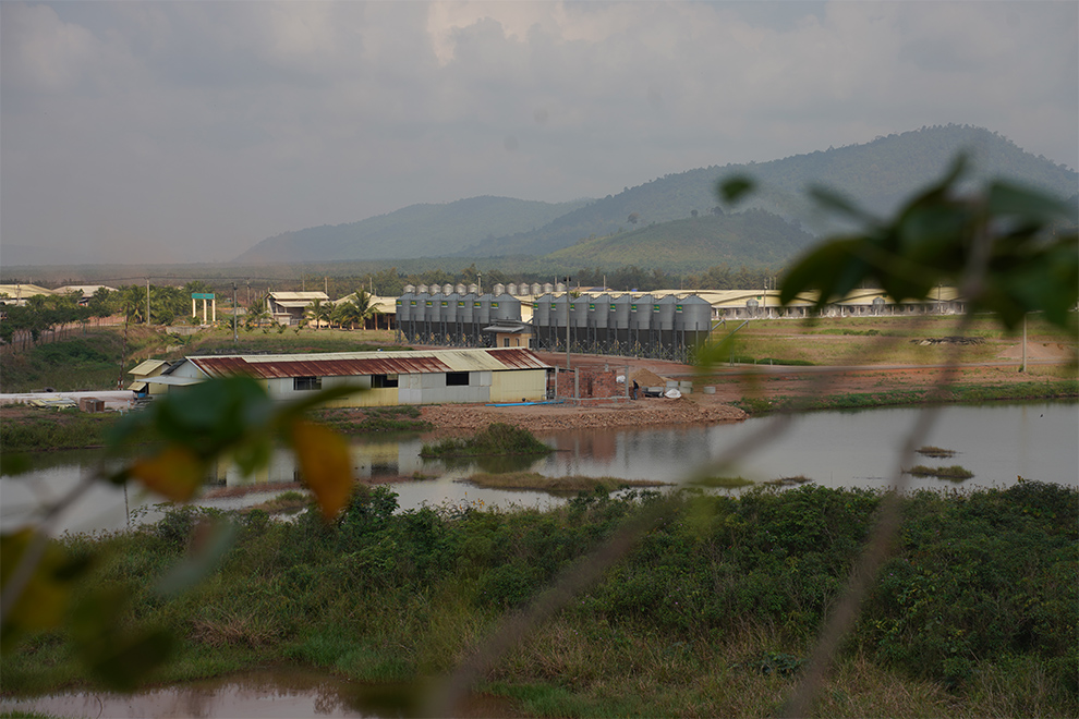 In the last three years, Cambodia has even been able to export pigs to neighbouring markets. Hong Raksmey