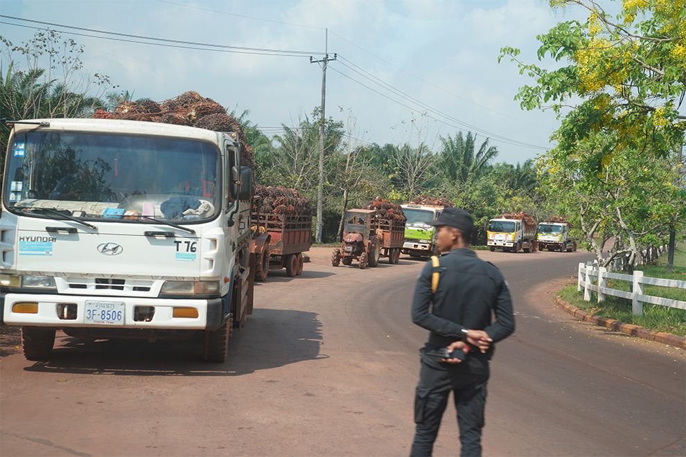 Currently, about 97 per cent of the company’s crude palm oil is exported to India, with annual refined output reaching around 46,000 tonnes, generating tens of millions of dollars in revenue. Hong Raksmey