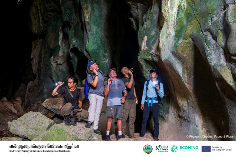 The team, including leading international research specialists and academics, explored over 60 caves in Battambang province. Fauna & Flora