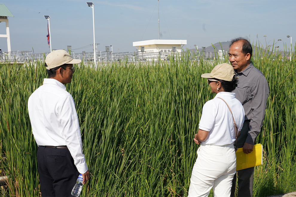 Yasmin Siddiqi, ADB country director for Cambodia and public works ministry undersecretary of state Vong Pisith (far right) examine reeds which are used to treat wastewater naturally. Hong Raksmey