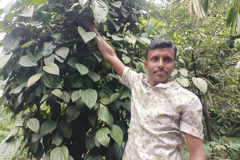 Spice of Life: Sri Lankan farmers succeeding through support of DevPro