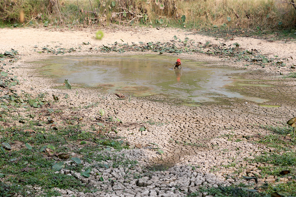 Water conservation urged as 41° forecast