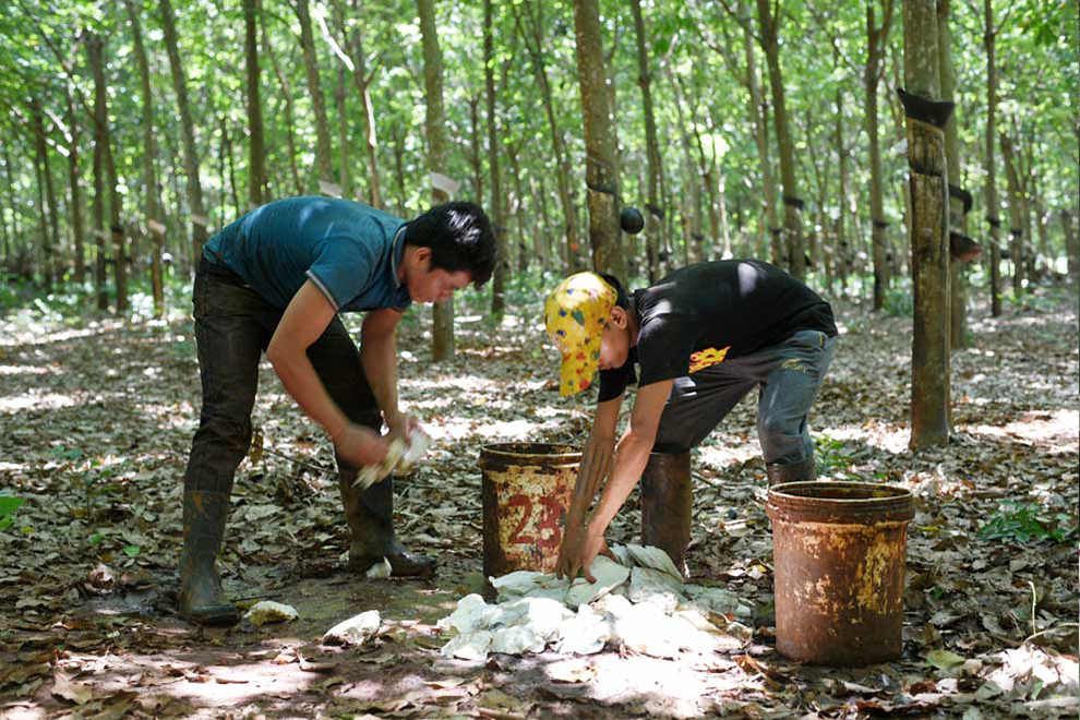 Cambodia encourages Vietnamese investment in key sectors as trade tops $7B