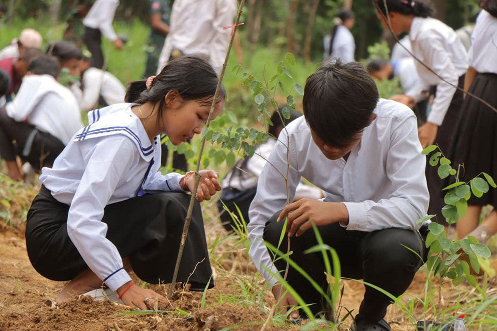 'Green Sprouts' initiative aims to increase green coverage