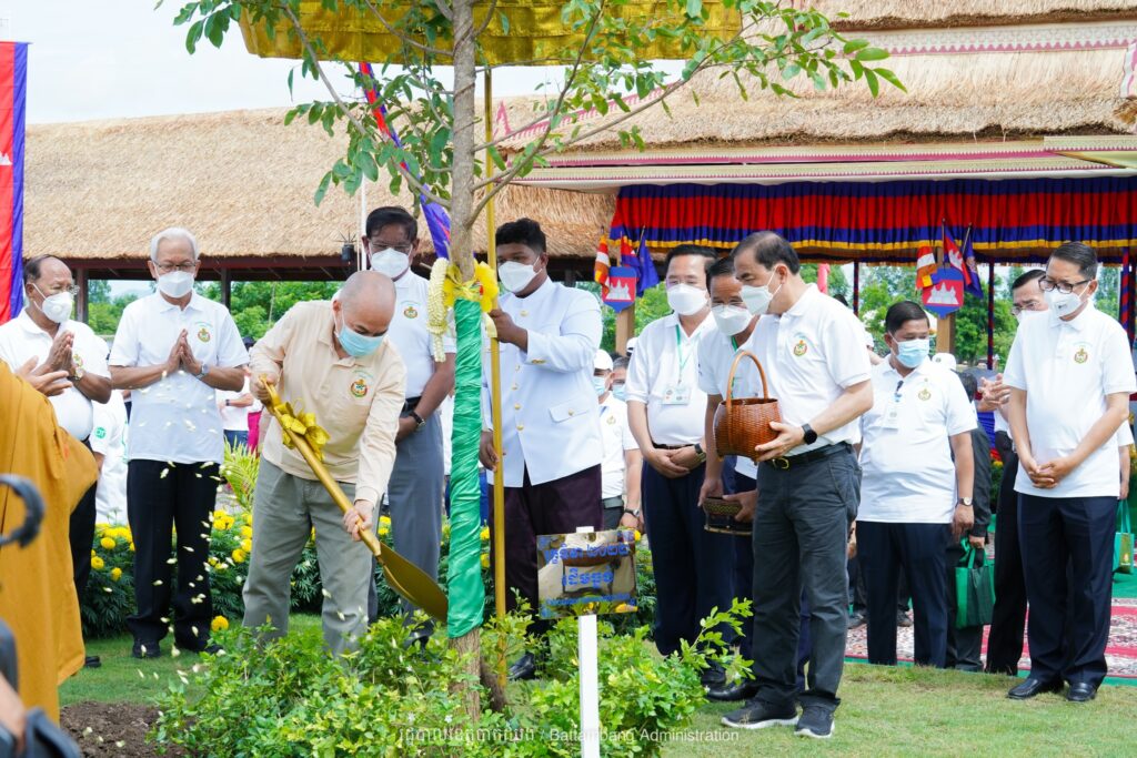 King: Planting trees a green investment