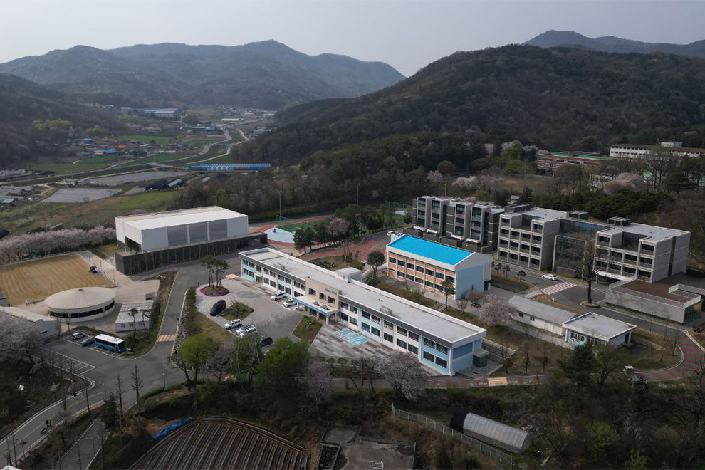 Buildings within the Dreamy School campus in South Korea. Supplied