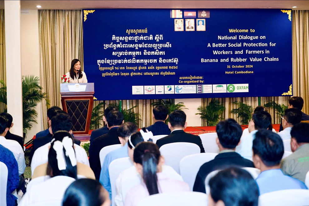 Dialogue seeks to ensure social protections in rubber