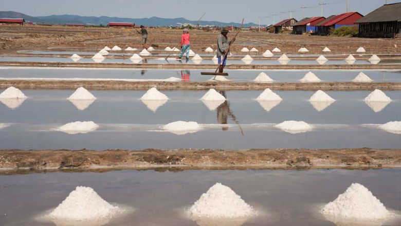 GI Kampot-Kep salt prepared for exports by end of year: insiders