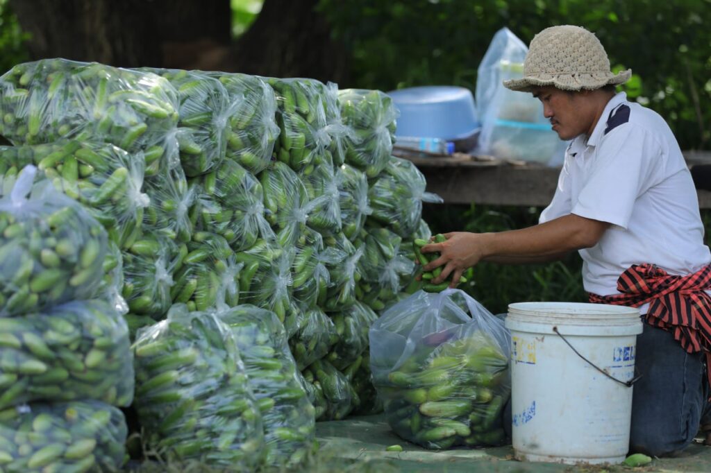 Microfinance growth boosts financial stability