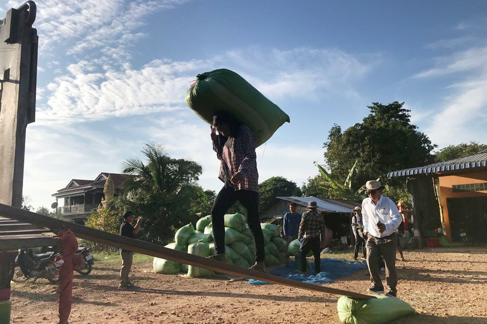 Cover crops transform soil