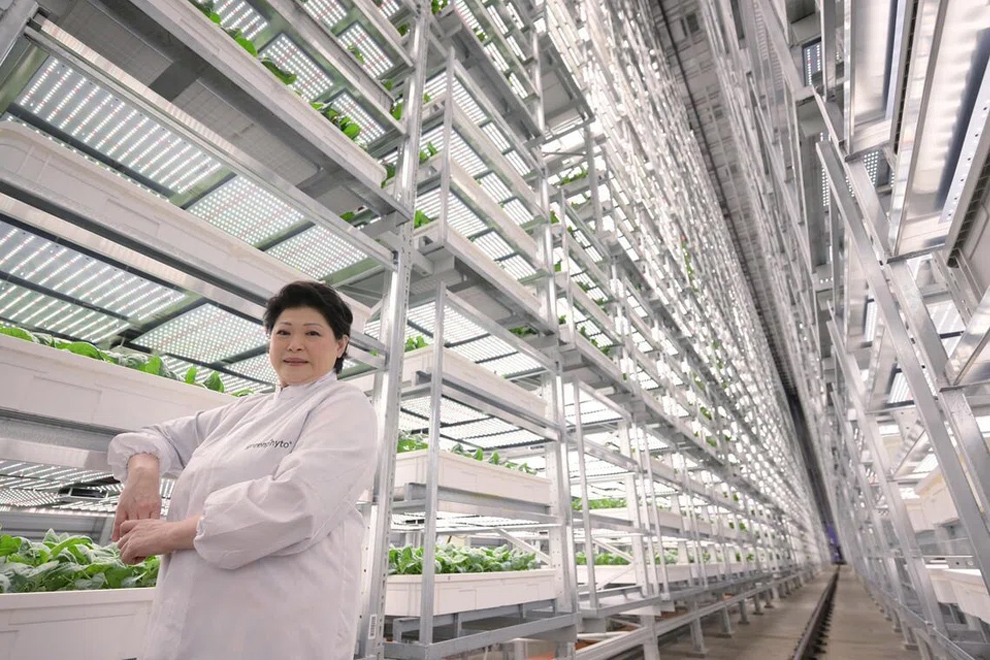For Greenphyto founder Susan Chong, the farm represents a 14-year vision come to life. PHOTO: THE STRAITS TIMES