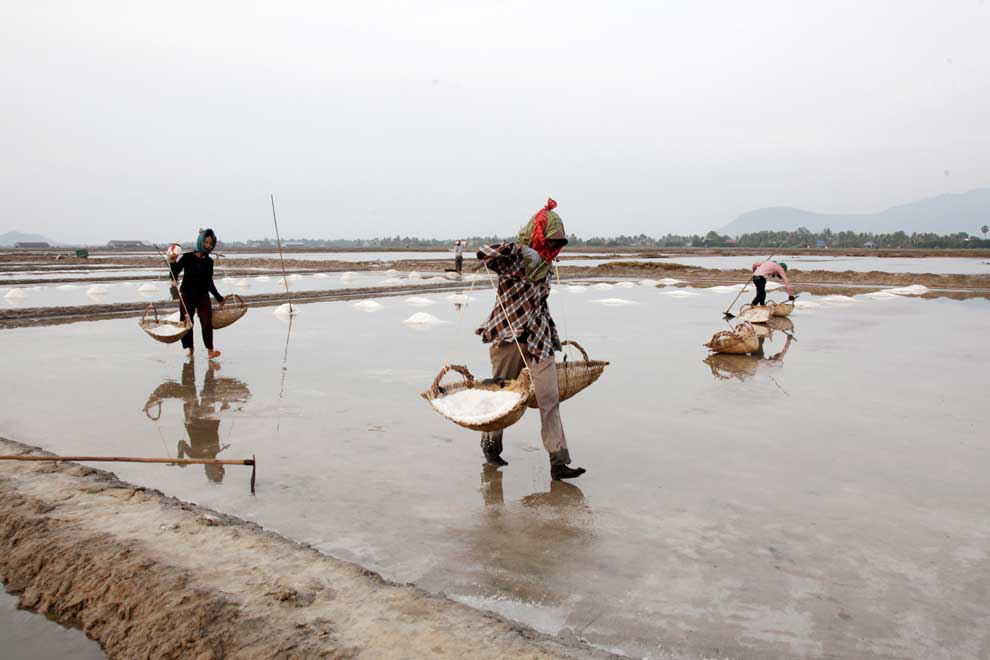 Kampot-Kep GI salt exports drop to record low in 2024