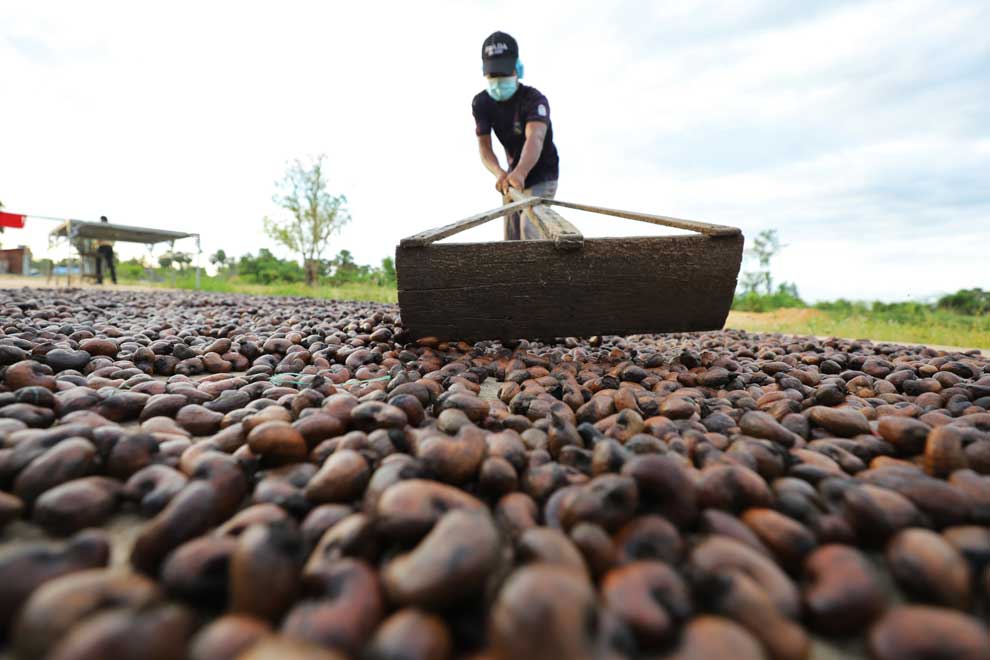Cashew industry sees promising shift to processing for added value