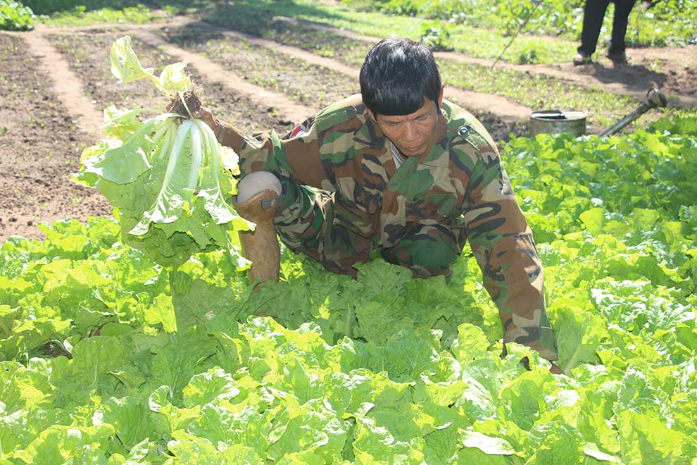 Red Cross' loan scheme helps avert Kingdom's mine casualties