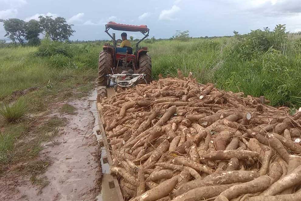 Cambodia's trade deficit narrows with Vietnam as exports escalate