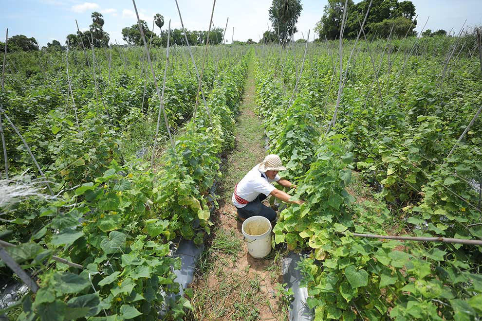 SDG push in extraordinary times