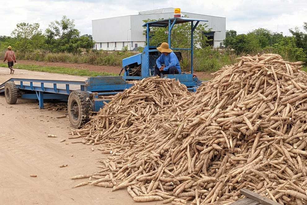 Q1 cassava exports top a million tonnes
