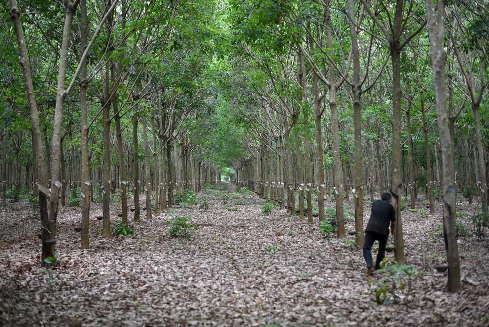 'Not too bad' 2023 seen for rubber sector despite Q1 slip