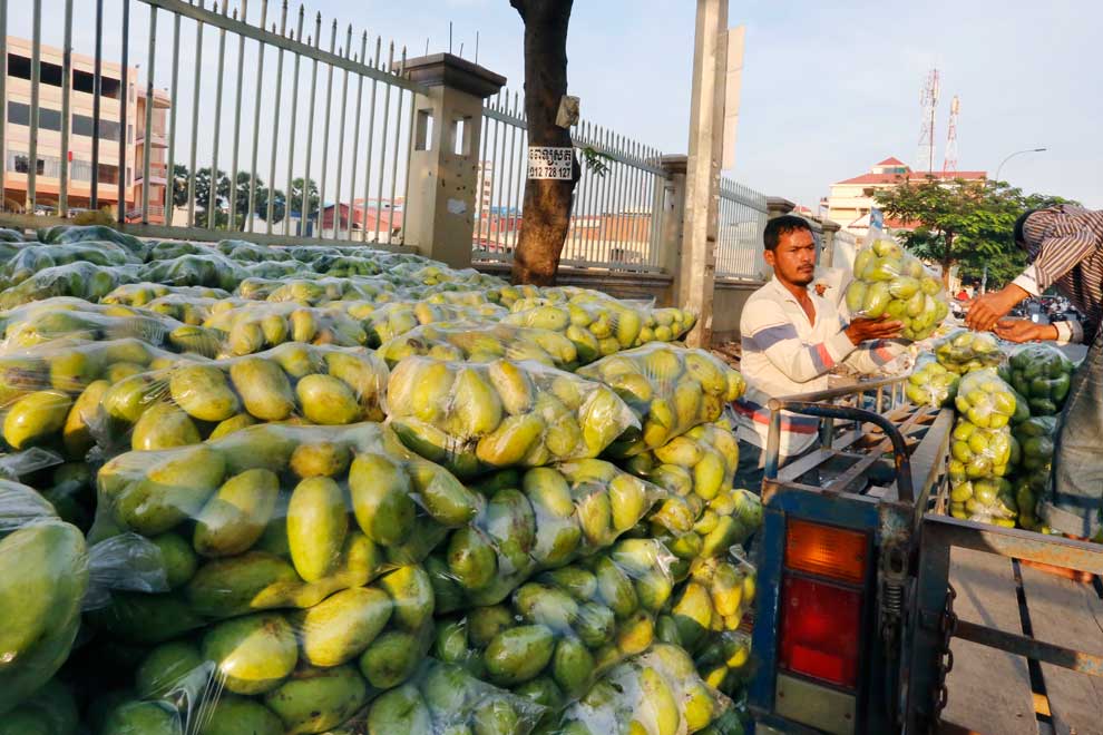 Dehydrated mango exports surge amid low-yield harvests