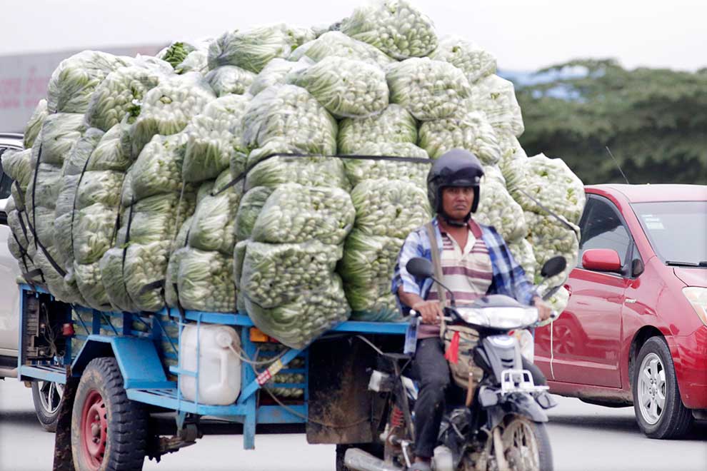 Ministry working to boost domestic vegetable supplies