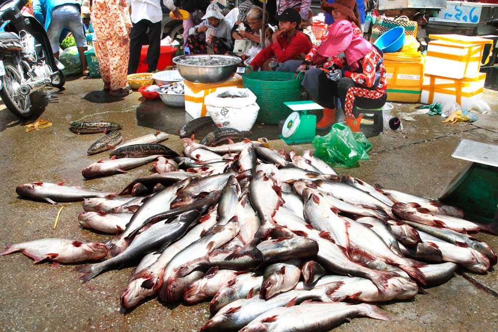 First export of 'pra' fish to China seen January at earliest