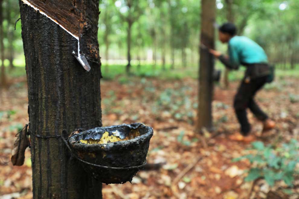 Global latex prices impact exports in first 7 mo of '23