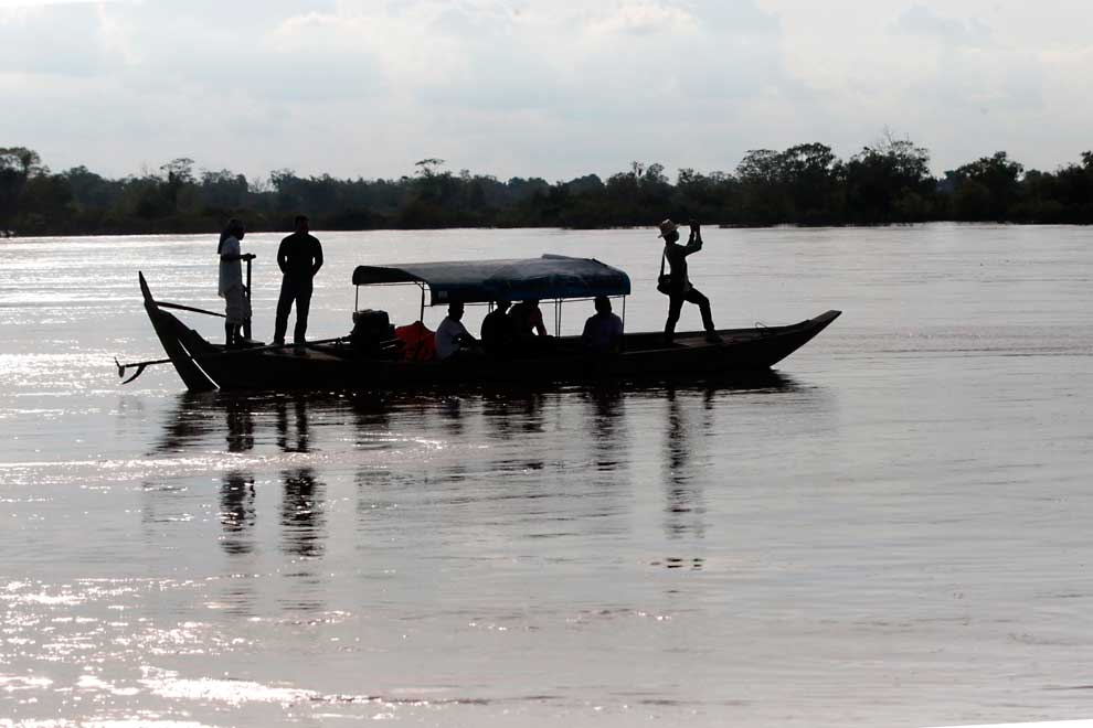 Second Irrawaddy dolphin calf seen in Mekong River