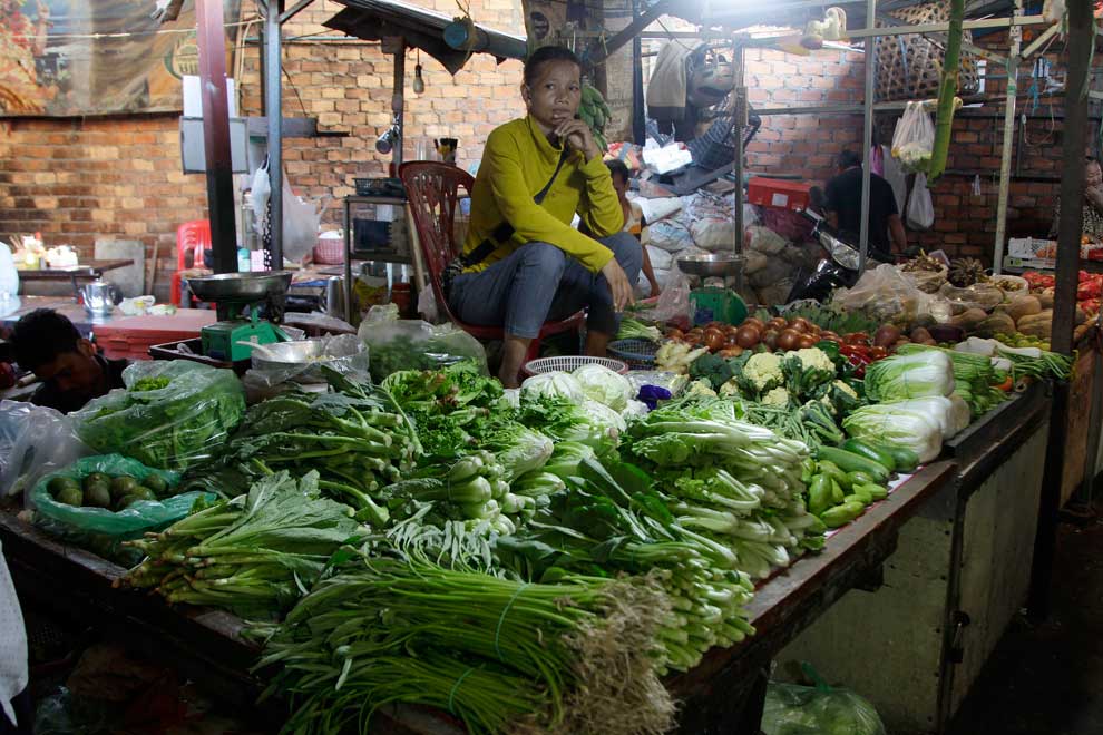 Hun Sen calls for organic food