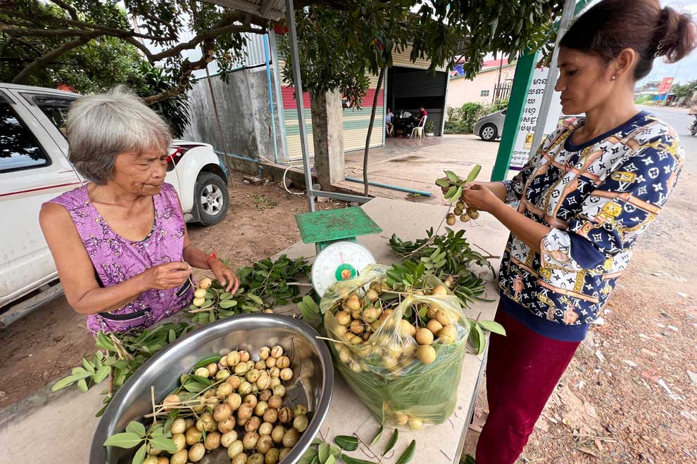 Longan sales to China set for 'five-fold' hike: insider