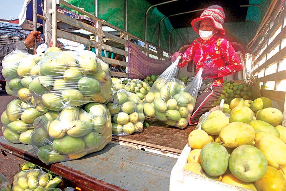 Jan-Nov mango exports dip 30% to 170K tonnes