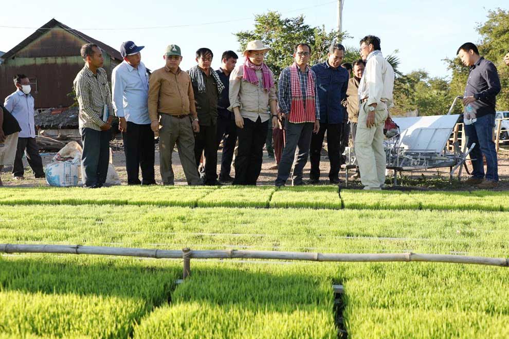 Agri minister urges co-op in rice sector