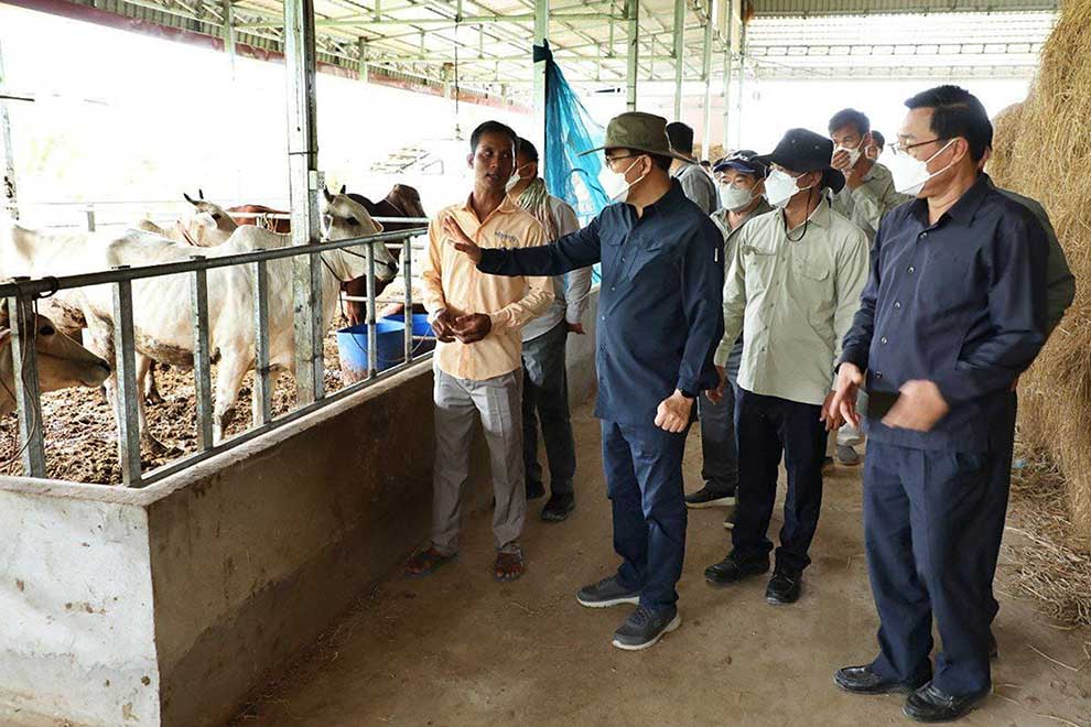 Three provinces told to drop animal charges