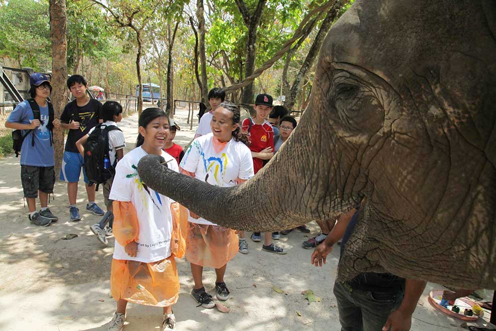 No harm to north Takeo wildlife area