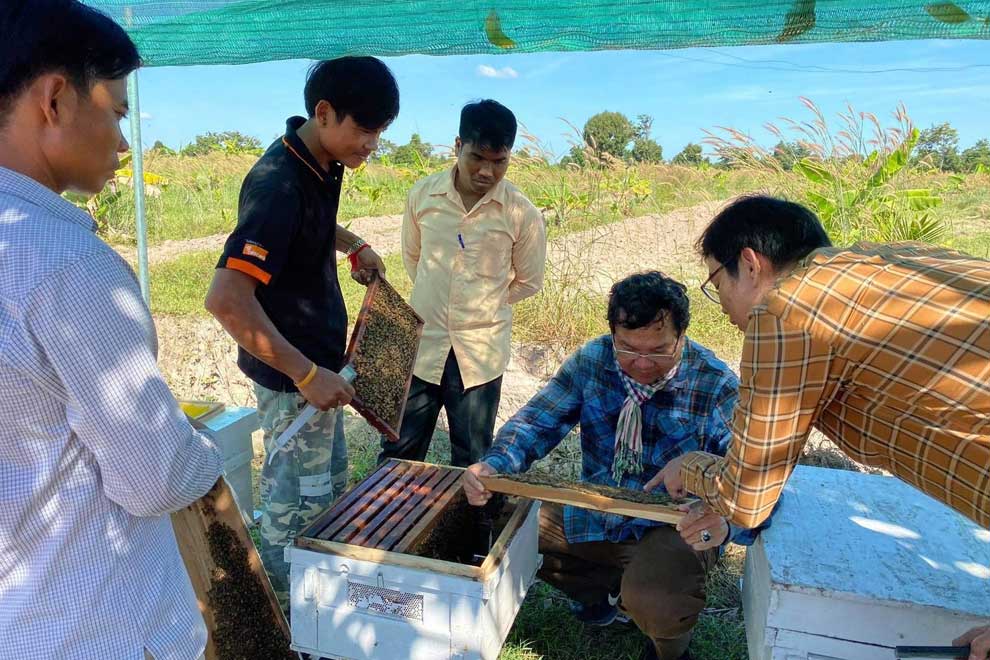 Beekeeping 'hard yet beneficial'