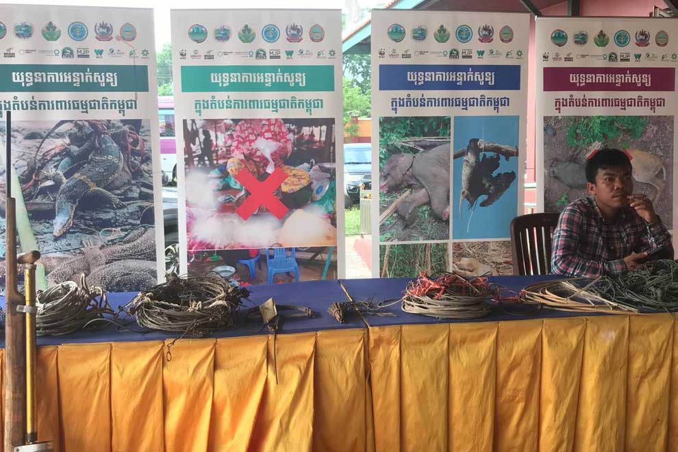 Bush meat poses 'virus threat'