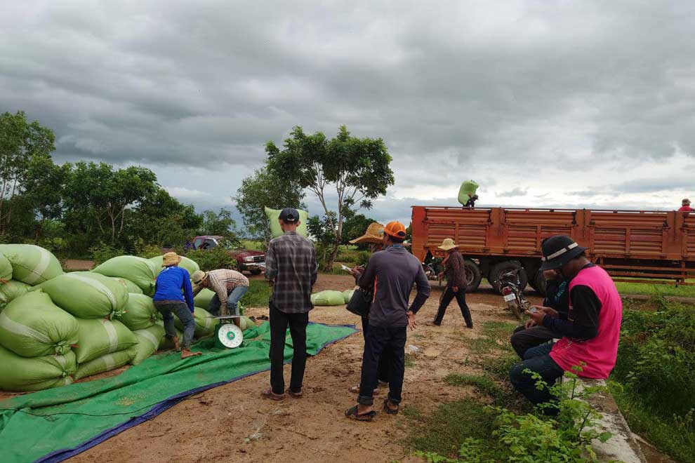 Tina rebuffs 'false claims' over falling paddy price