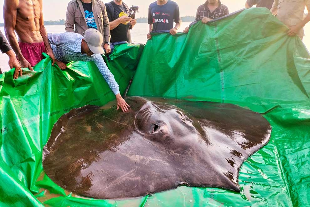 Boramey sheds light on deepwater fish