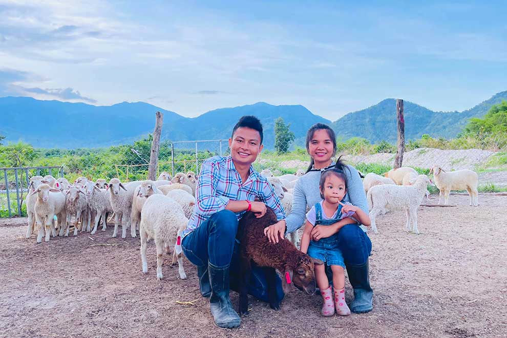 Tourists flock to mountain sheep farm for picture perfect scenery