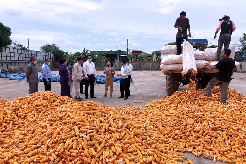 Cambodian agri exports rise 7.8% to 8.6M tonnes
