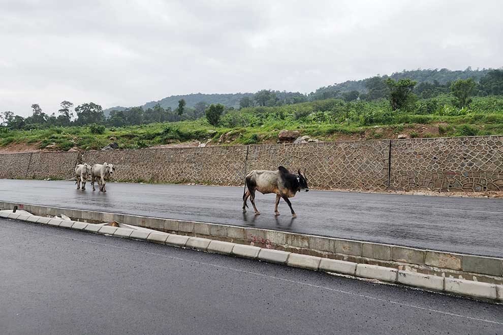 Public urged to avoid using expressway until completion
