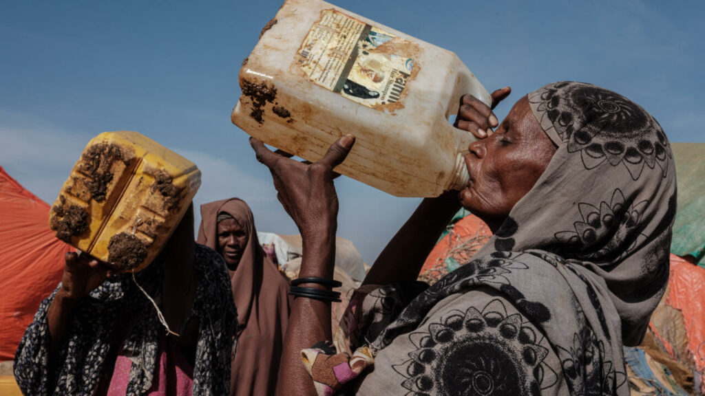 Dire drought in east Africa could starve around 20M