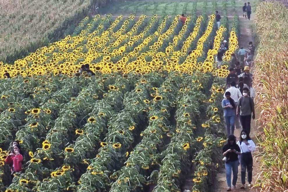 307K domestic trips Mar 13-19