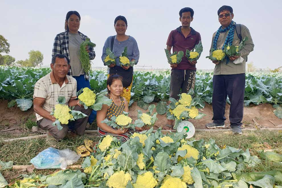 ASPIRE programme produces increased crop production for innovative farmers