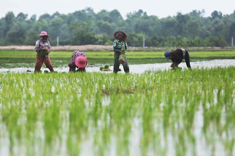 Importance of contract farming reaffirmed