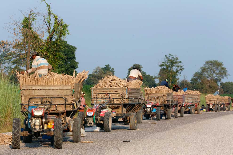 Contract farming MoU expected to increase cassava exports to China