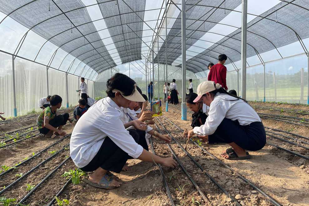 Ornamental plant project to boost local economy