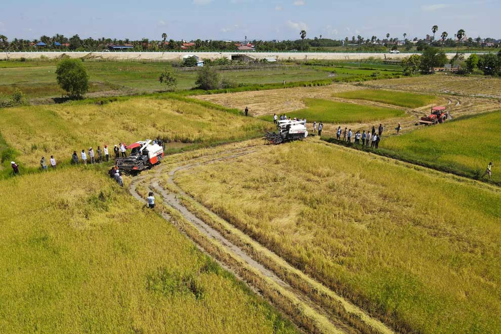 Rice exports sprout up 31% to $808M in H1